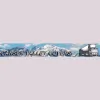 Carson Valley Movers