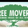 Tree Movers